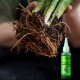 Schnell wirkende Nhrstofflsung für Pflanzen（50ml）