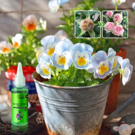 Schnell wirkende Nhrstofflsung für Pflanzen（50ml）