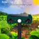 Solar-Bewegungssensor für Auenalarme zur Abwehr von Gefahren