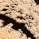  50 % RABATT!  Weiche und rutschfeste Plüschsofaüberzug